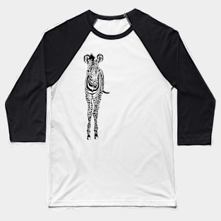 Grevys zebra foal Baseball T-Shirt